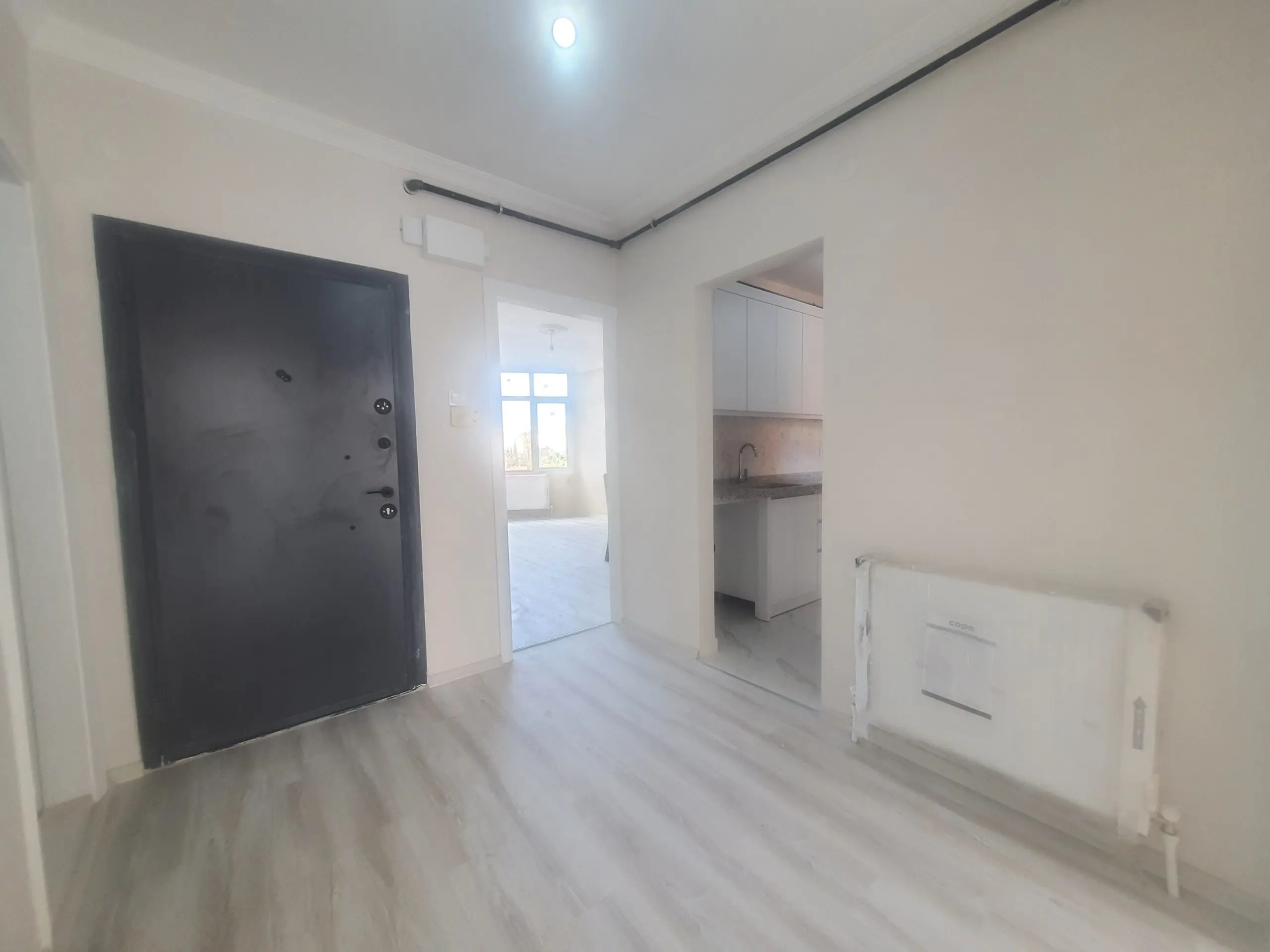 20241207 123754 1 scaled 1