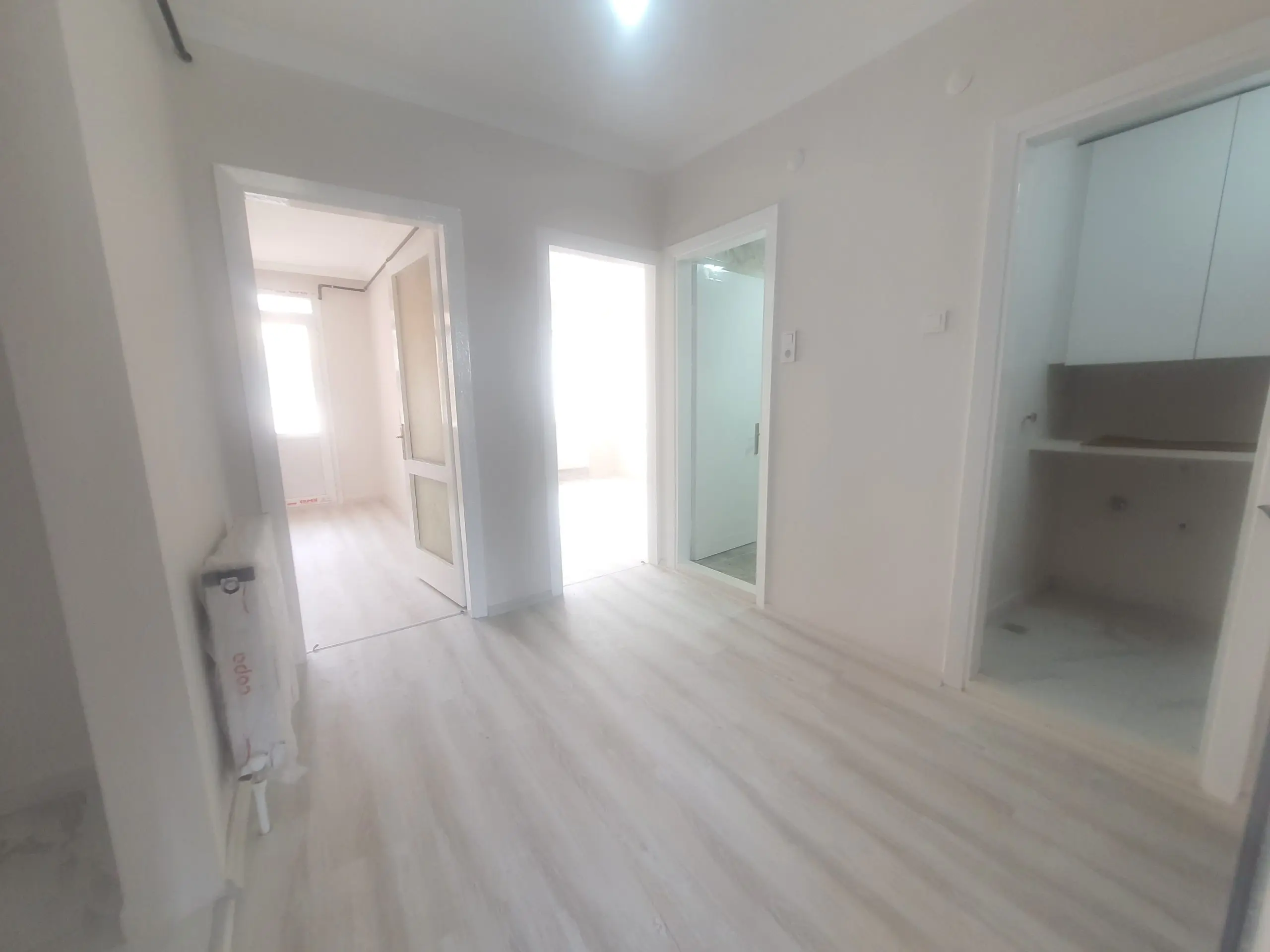 20241207 123951 1 scaled 1