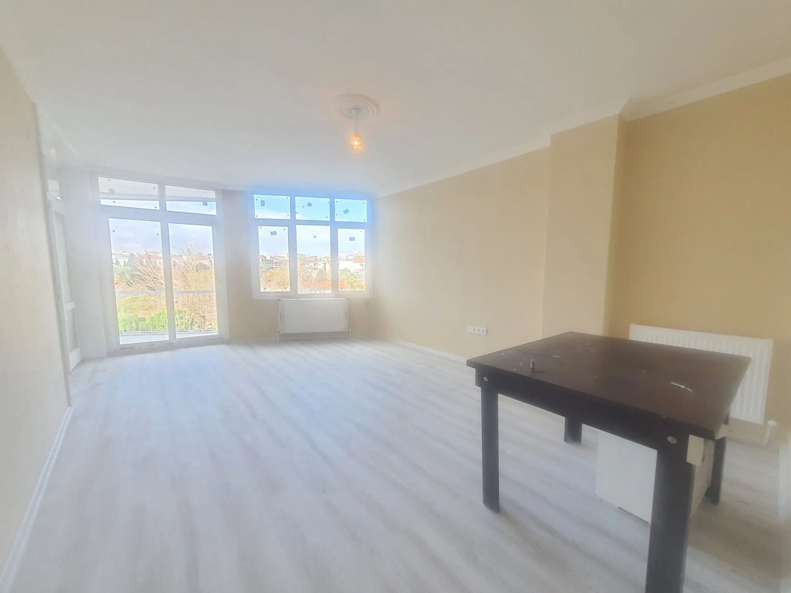 20241207 124235 1 scaled 1