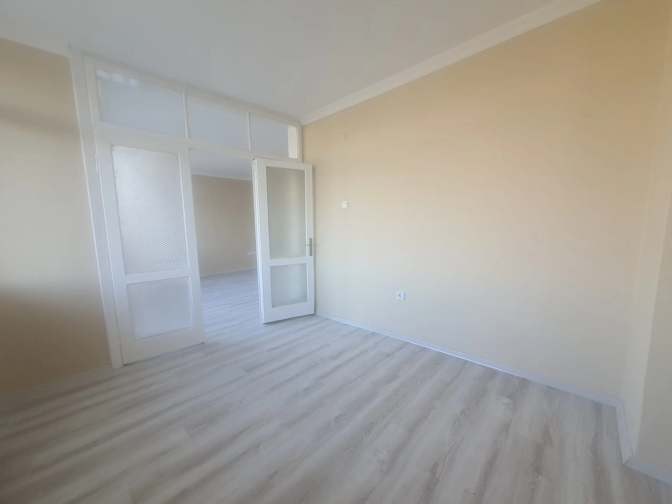 20250201 114833 1 scaled 1