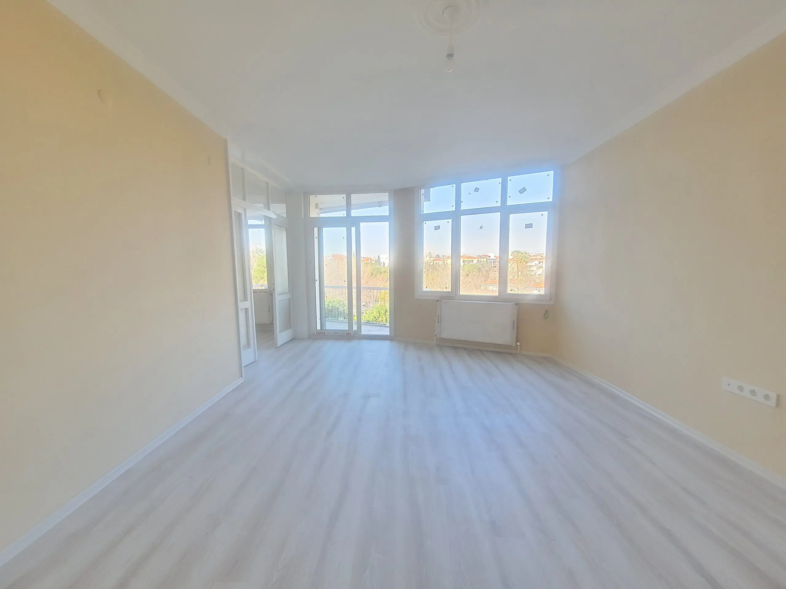 20250201 114851 1 scaled 1